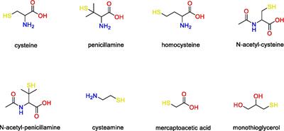 Metabolic turnover of cysteine-related thiol compounds at environmentally relevant concentrations by Geobacter sulfurreducens